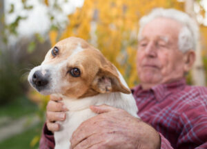 Pet Therapy for Seniors of Birmingham