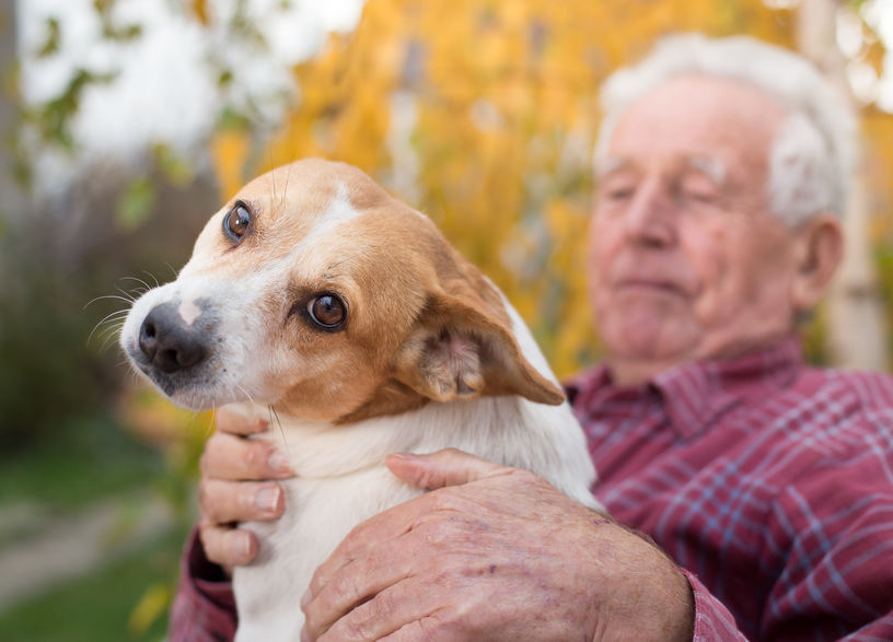 Seniors of Birmingham Love Pet Therapy