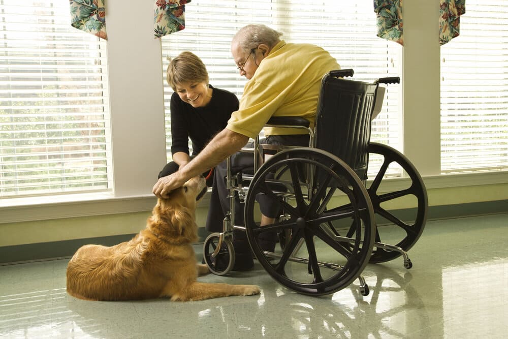 Pet Therapy For Assisted Living