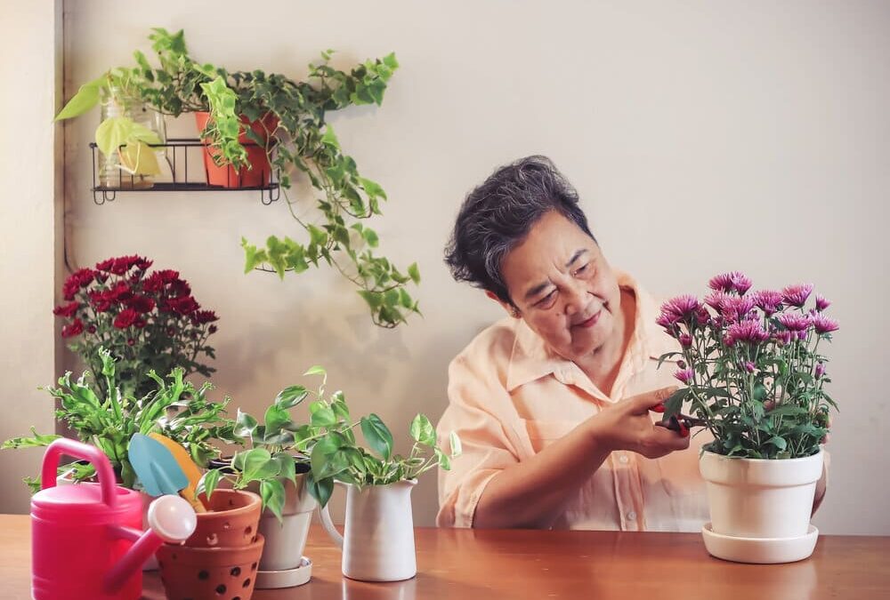 Productive Activities for Dementia Care