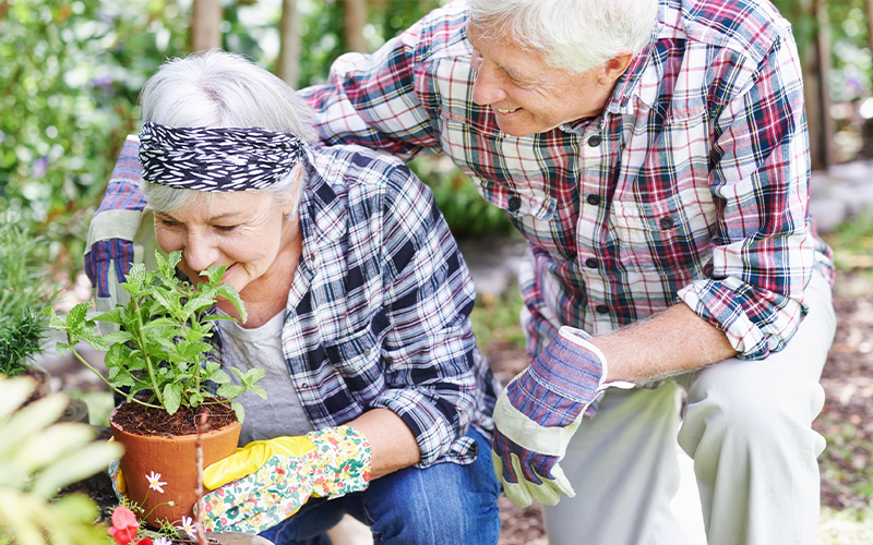 How a Community Used Garden Programs to Improve Health